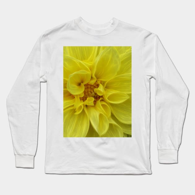 dahlia in full bloom and glowing bright yellow flower head in closeup Long Sleeve T-Shirt by mister-john
